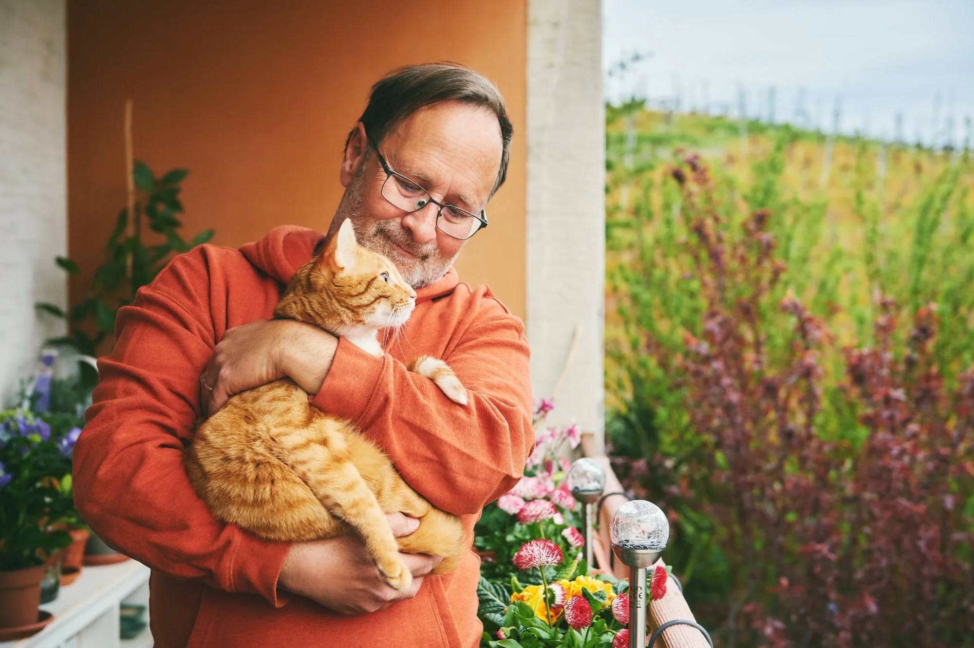 Adoptable animals at the Northumberland Humane Society