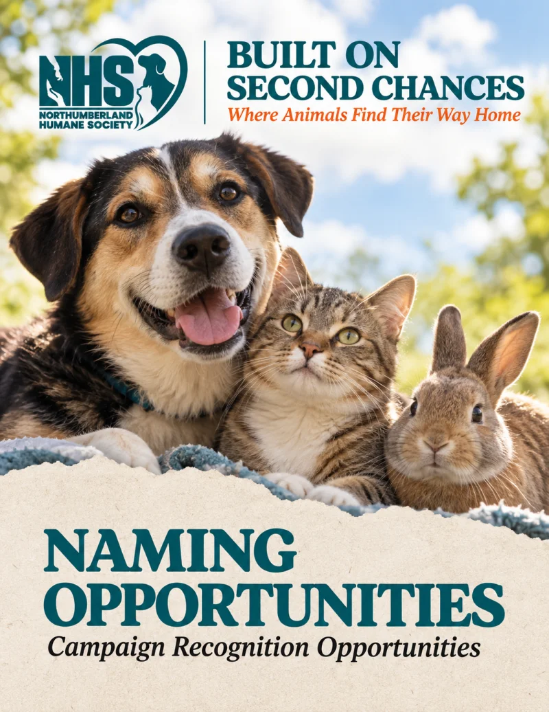 Cover of the Naming Opportunities booklet